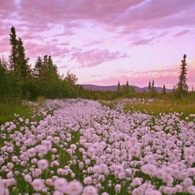 足球竞彩app截图